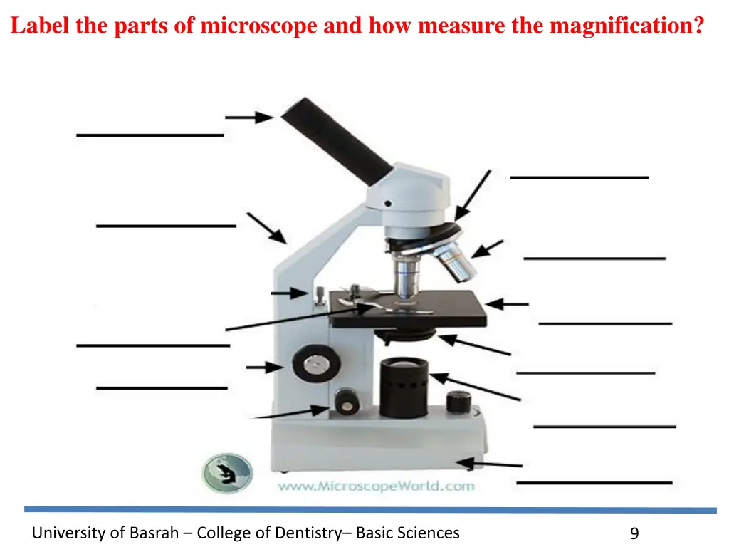 label the parts of microscope and how measure