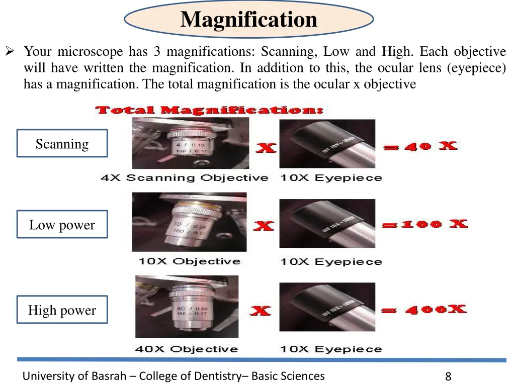 magnification