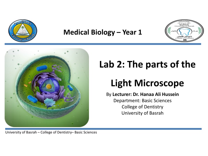 medical biology year 1