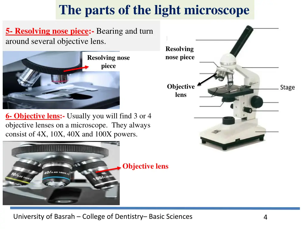 the parts of the light microscope 1