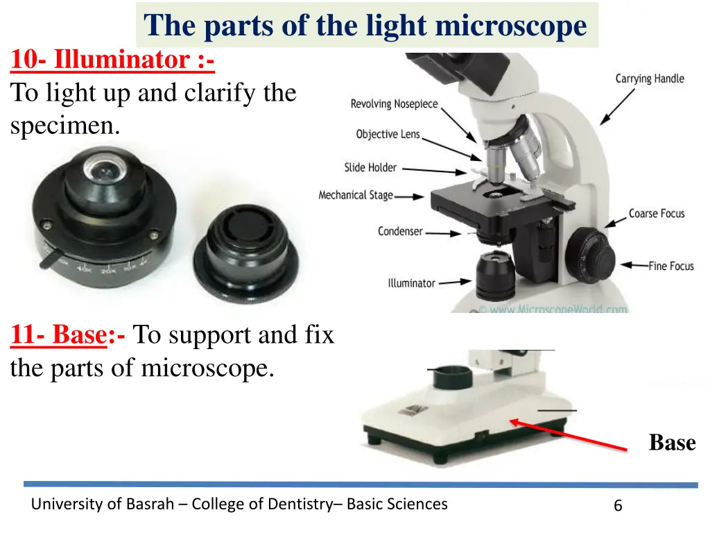 the parts of the light microscope 3