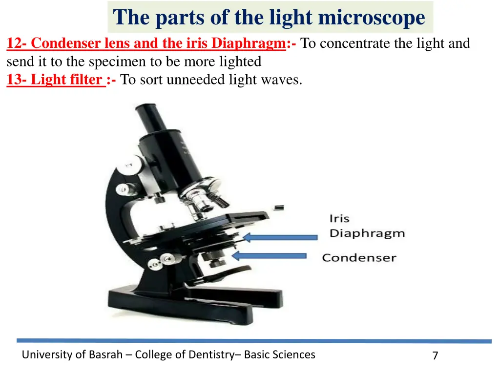 the parts of the light microscope 4