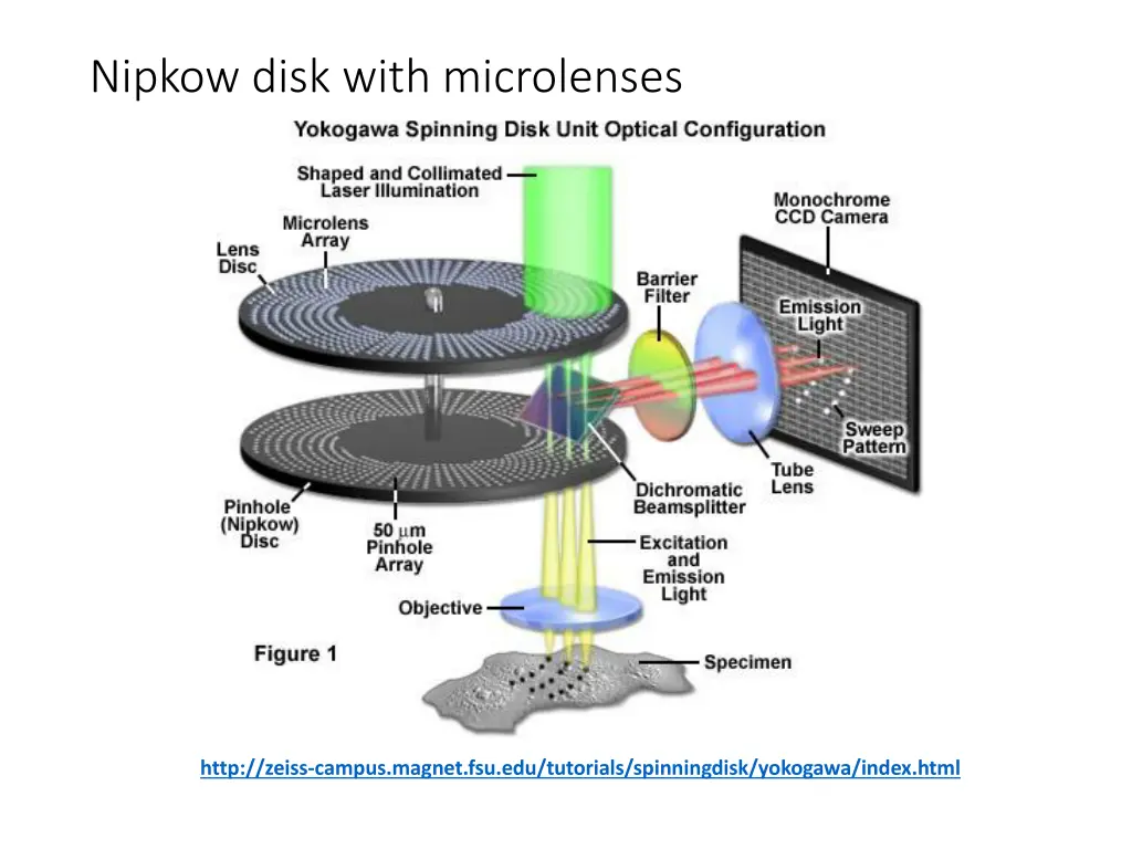 nipkow disk with microlenses 1