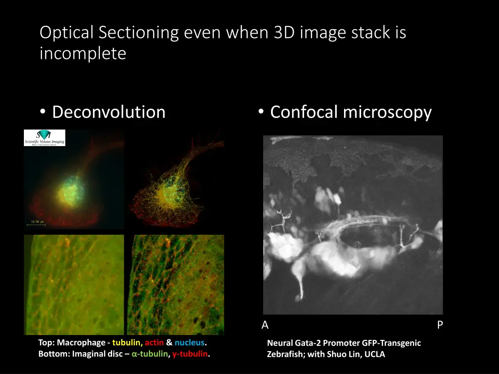 optical sectioning even when 3d image stack