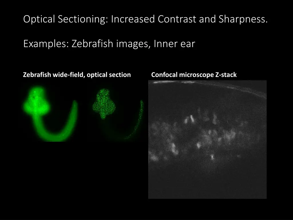 optical sectioning increased contrast