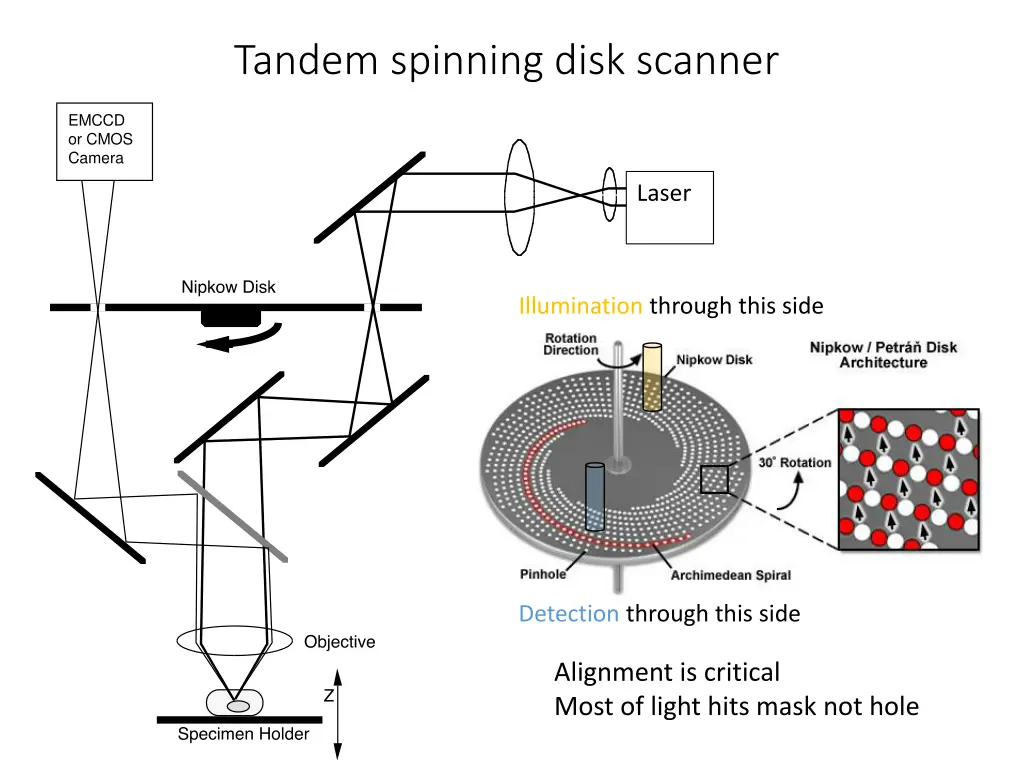 tandem spinning disk scanner