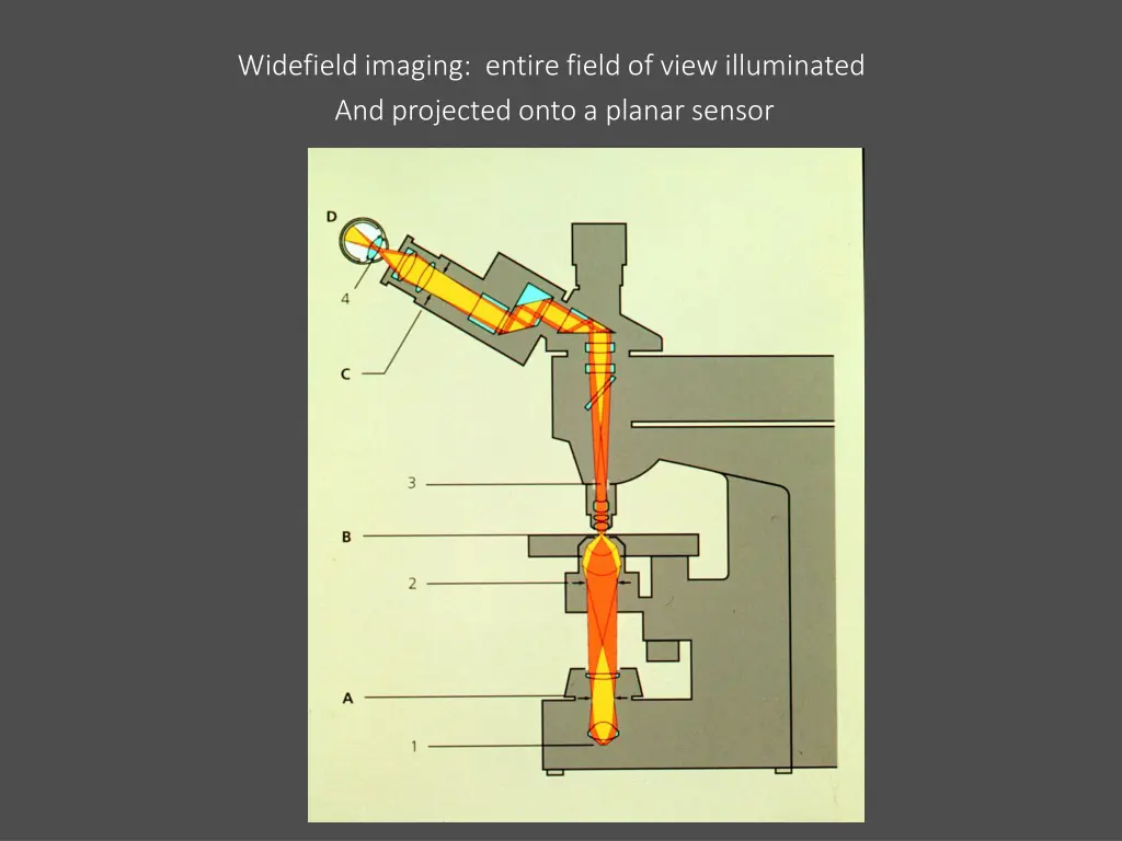 widefield imaging entire field of view