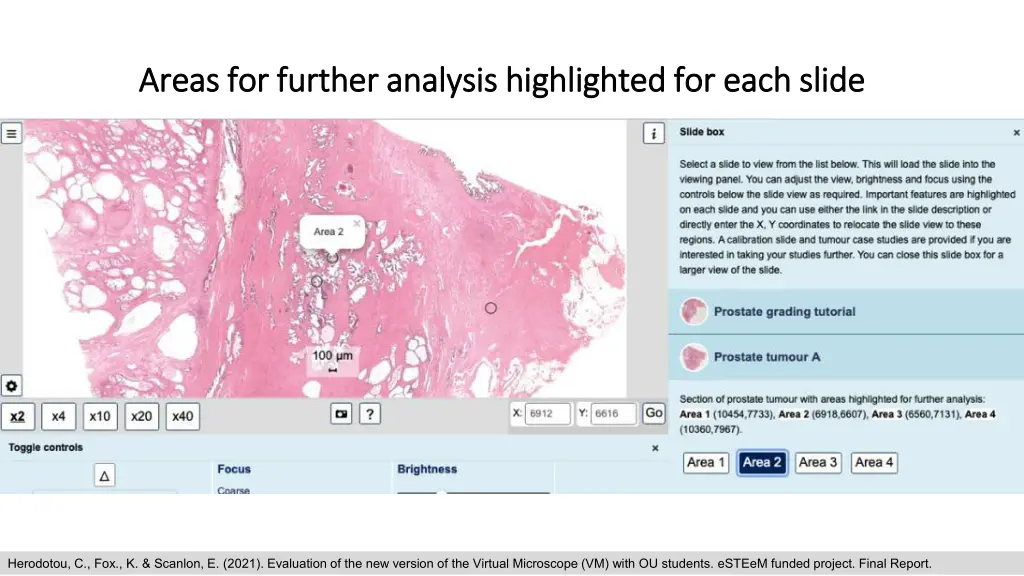 areas for further analysis highlighted for each