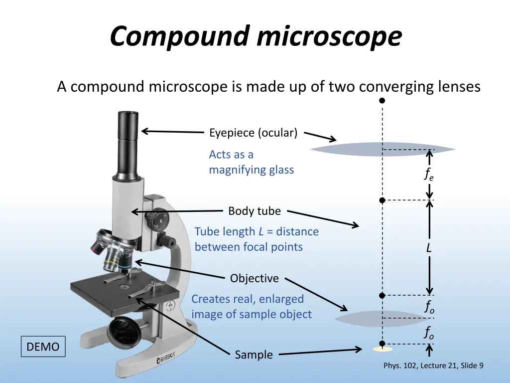 compound microscope