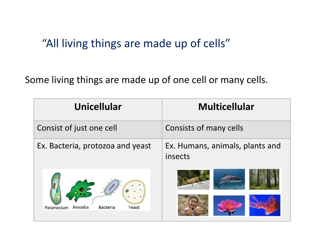 all living things are made up of cells