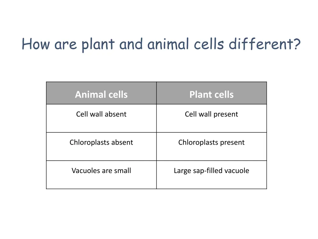 how are plant and animal cells different