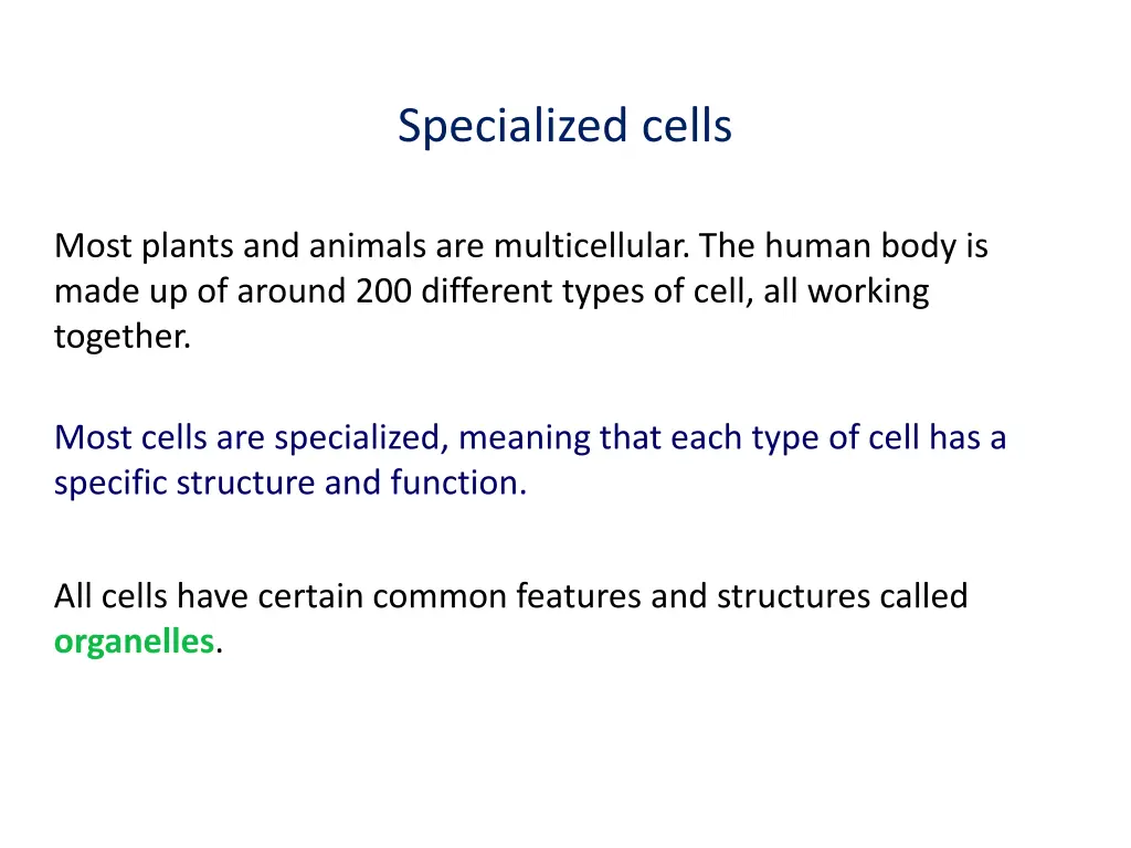 specialized cells