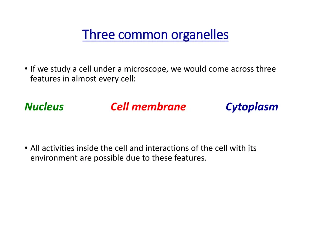 three common organelles three common organelles