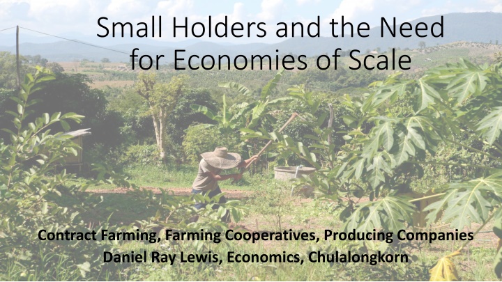 small holders and the need for economies of scale