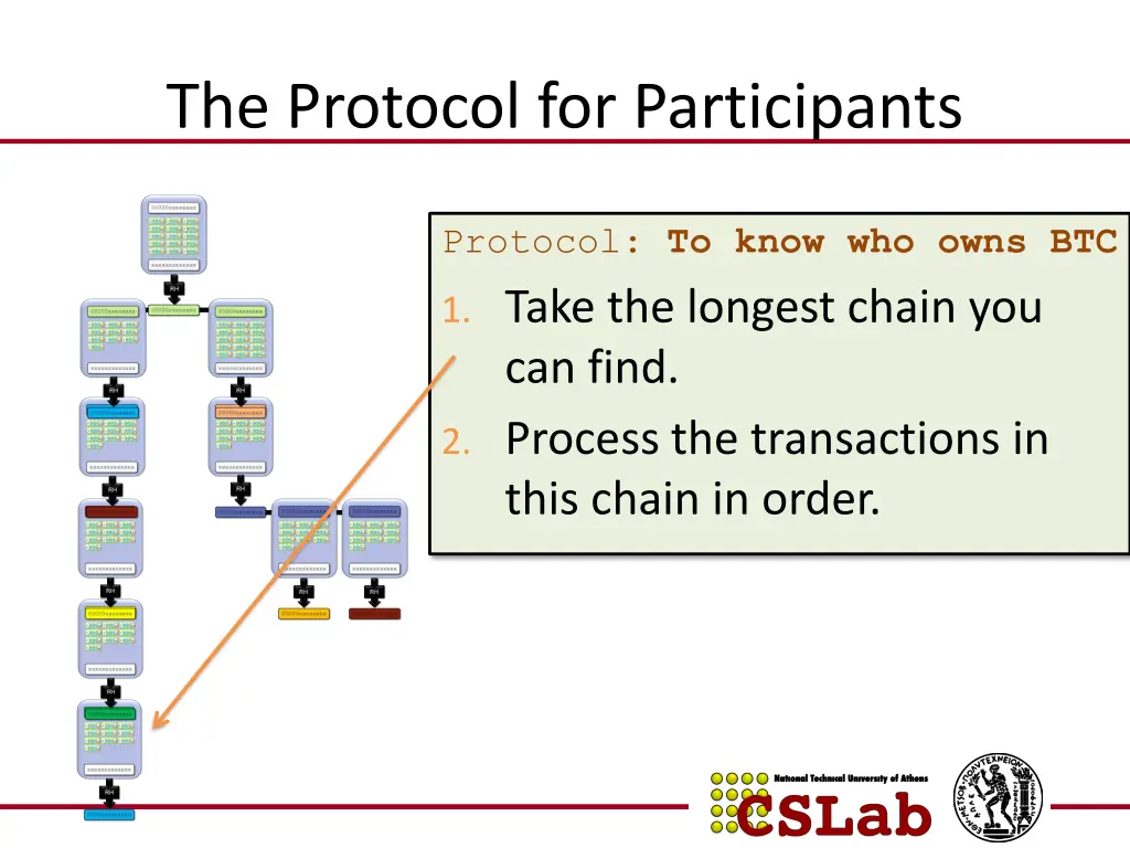 the protocol for participants