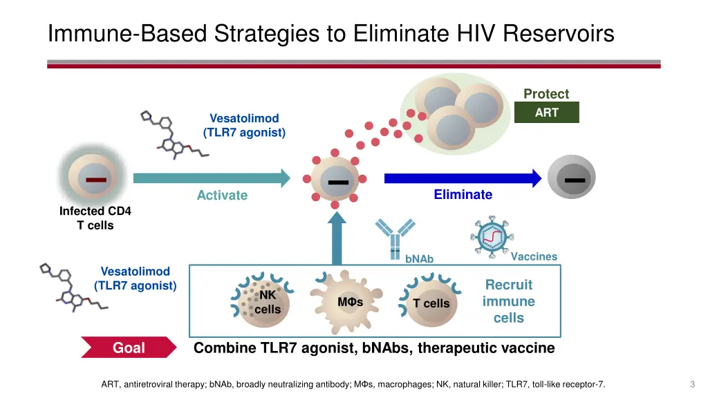 immune based strategies to eliminate