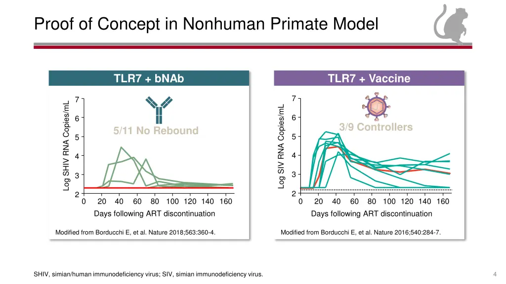 proof of concept in nonhuman primate model