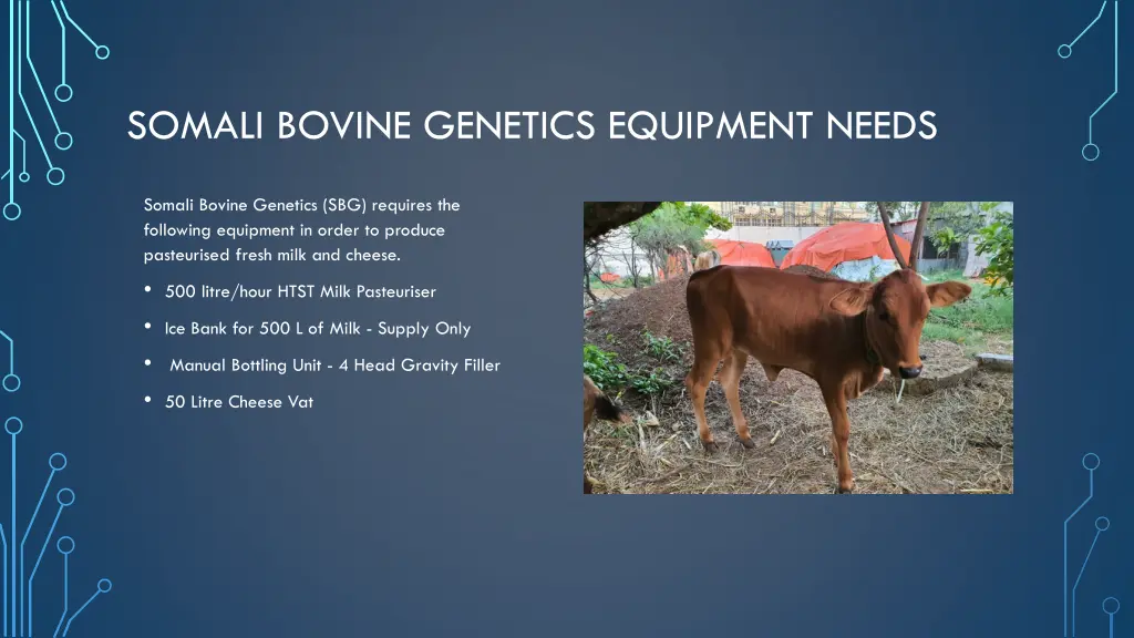 somali bovine genetics equipment needs