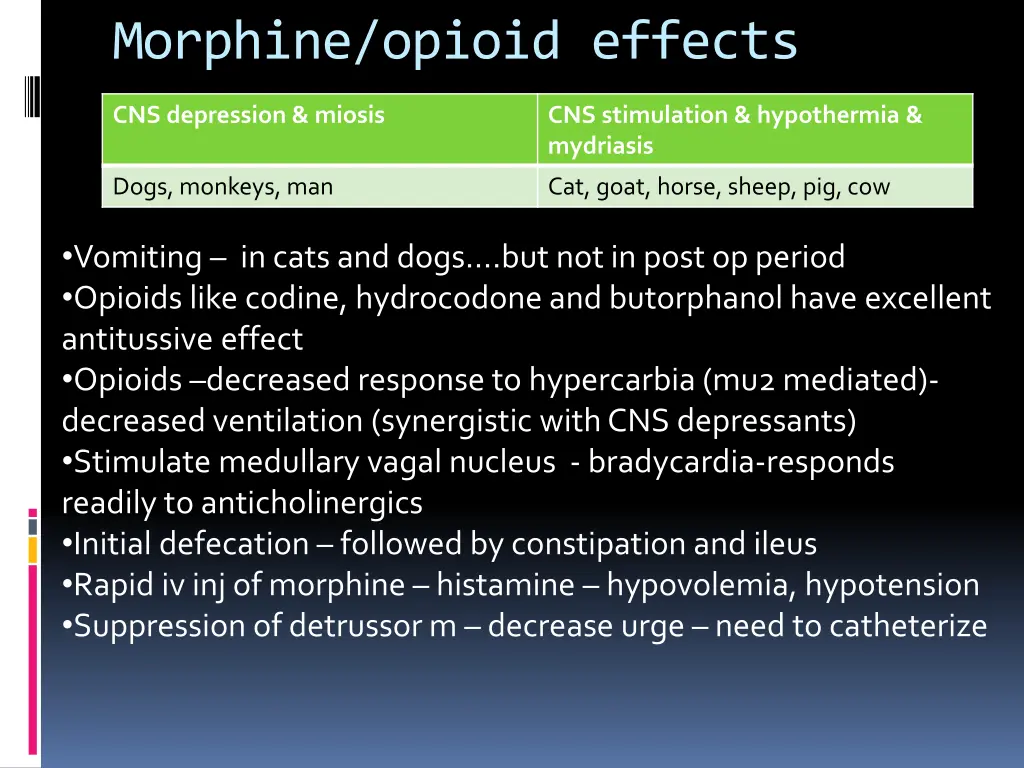 morphine opioid effects