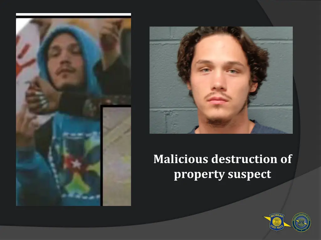 malicious destruction of property suspect