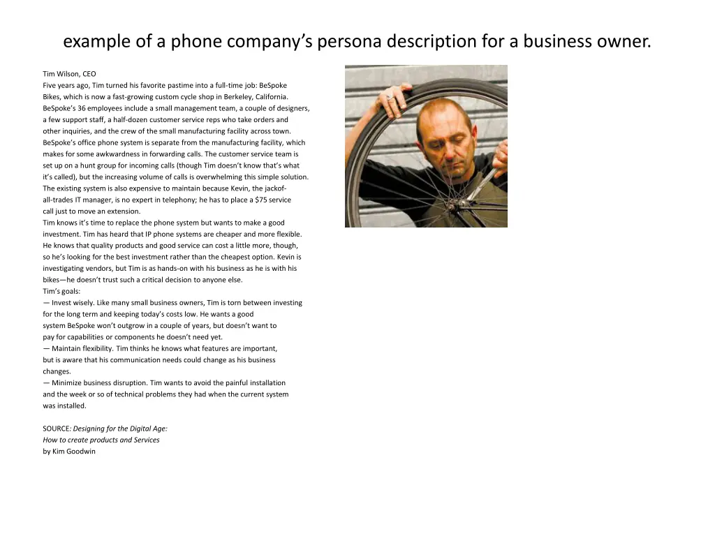 example of a phone company s persona description