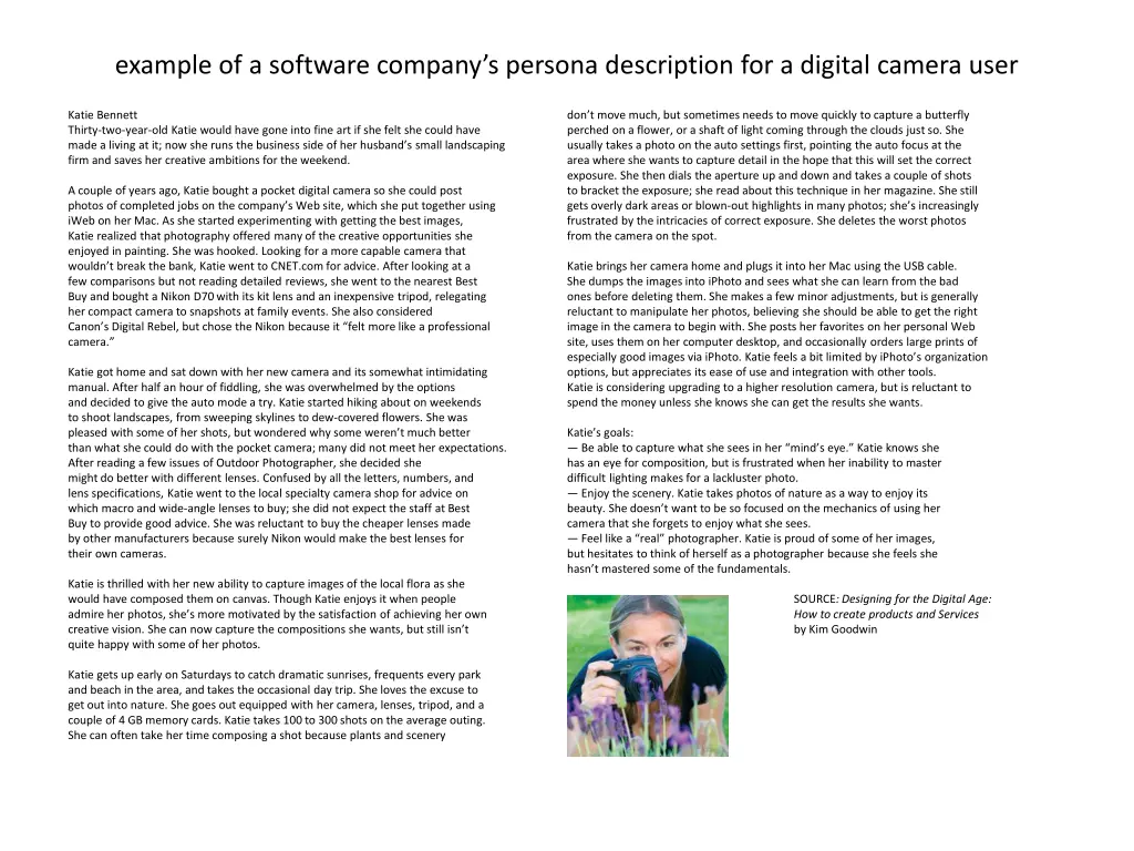 example of a software company s persona