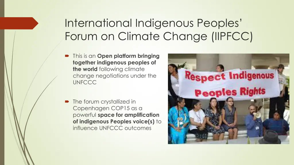 international indigenous peoples forum on climate