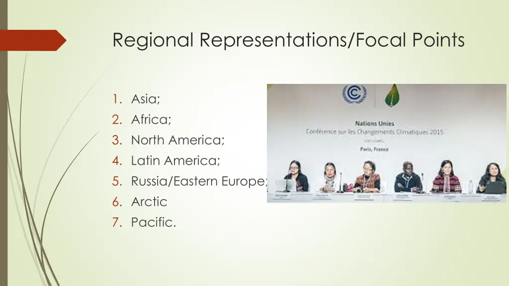 regional representations focal points