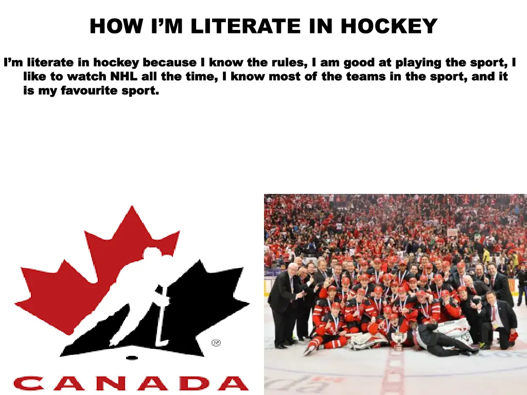 how i m literate in hockey