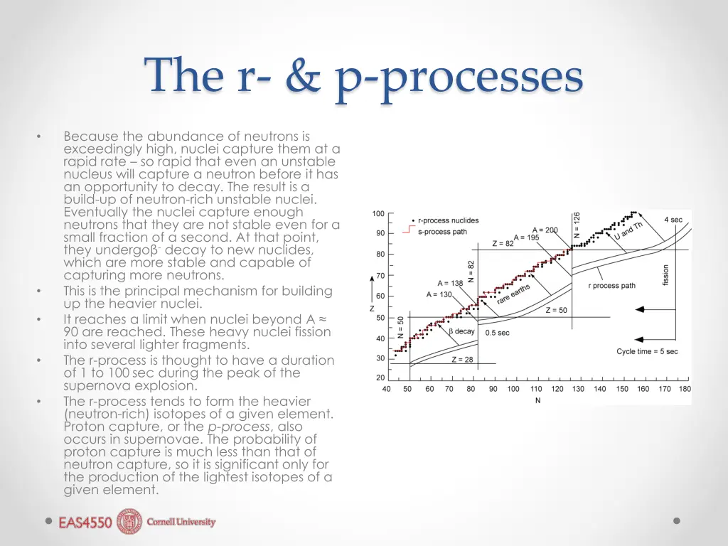 the r p processes