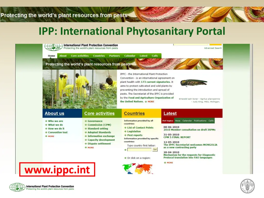 ipp international phytosanitary portal