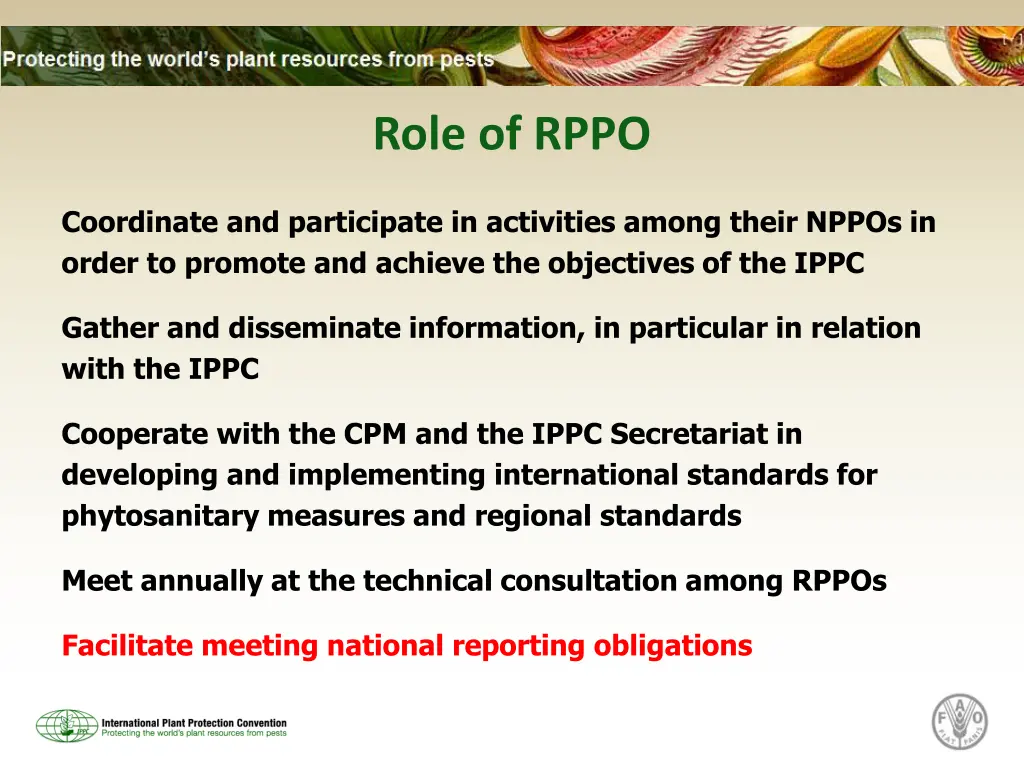 role of rppo