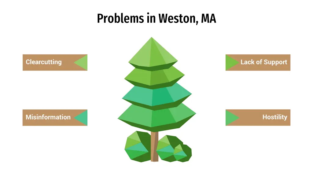 problems in weston ma