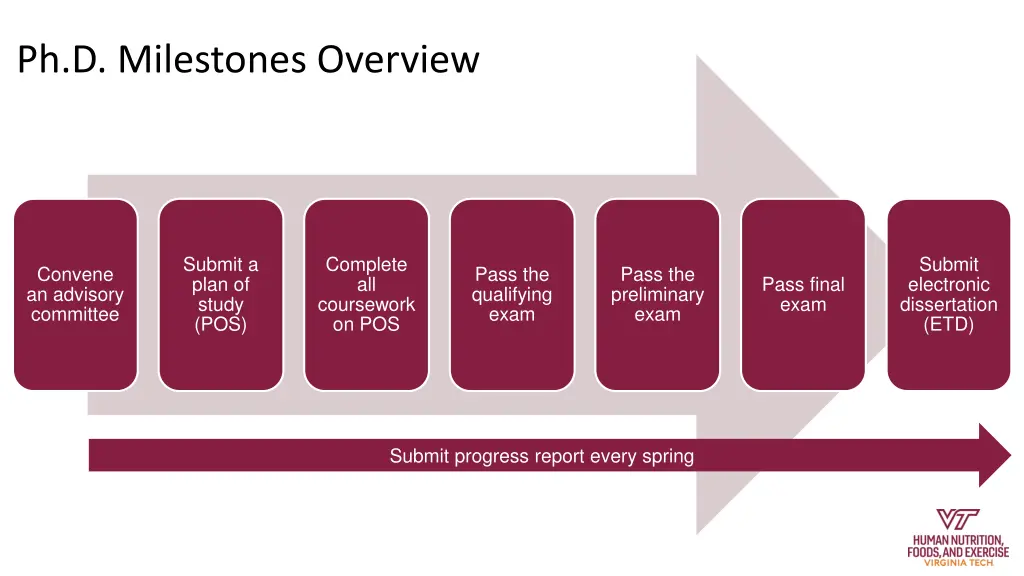 ph d milestones overview