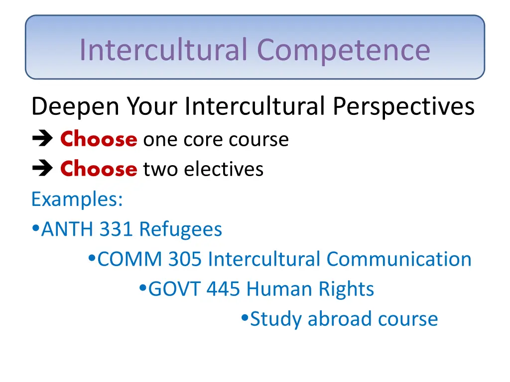 intercultural competence