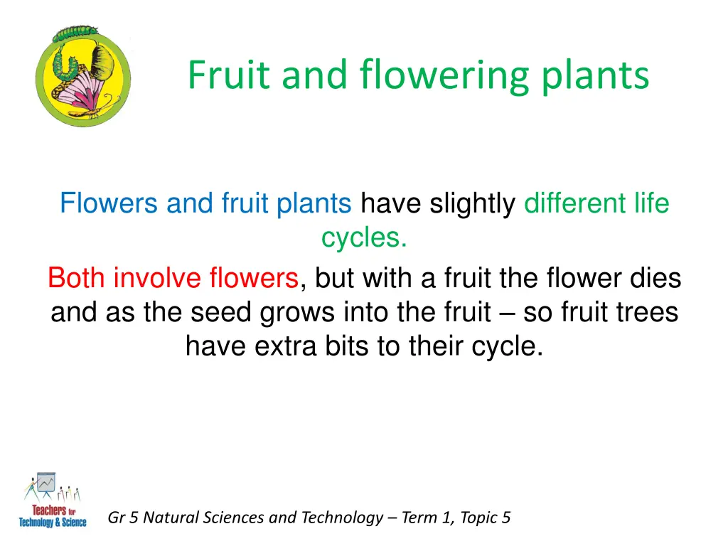 fruit and flowering plants