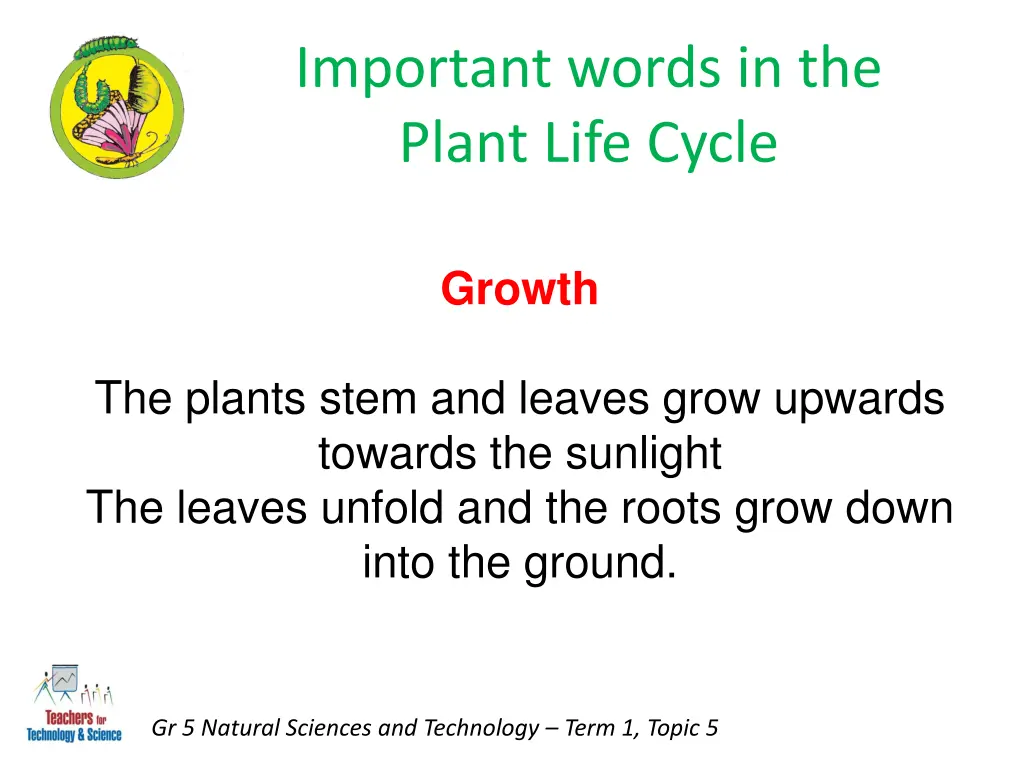 important words in the plant life cycle 1