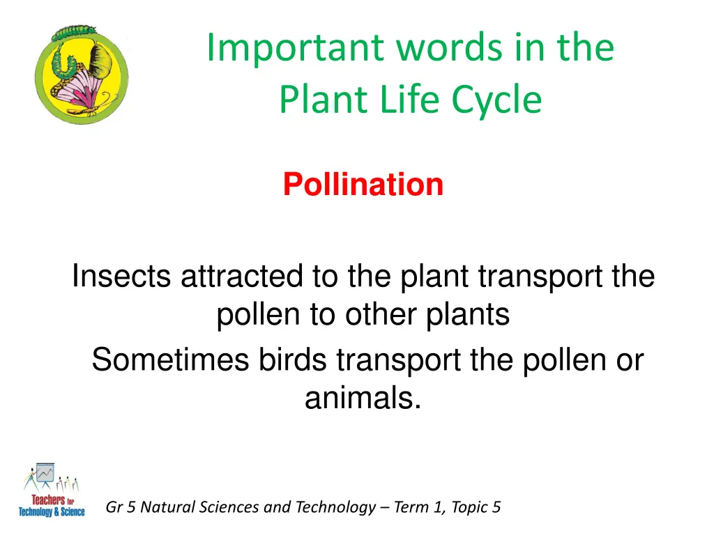 important words in the plant life cycle 2