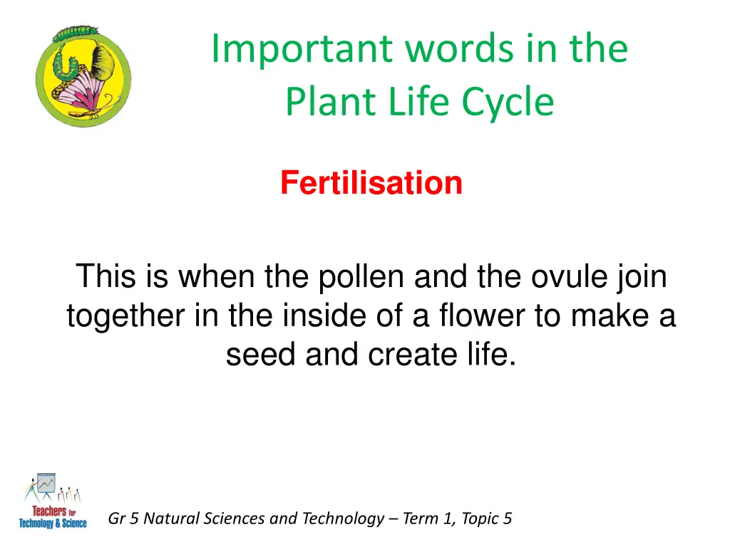 important words in the plant life cycle 3