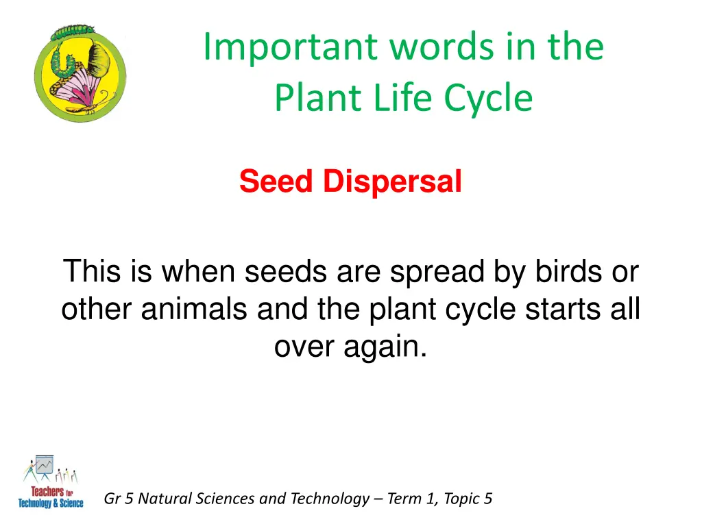 important words in the plant life cycle 4