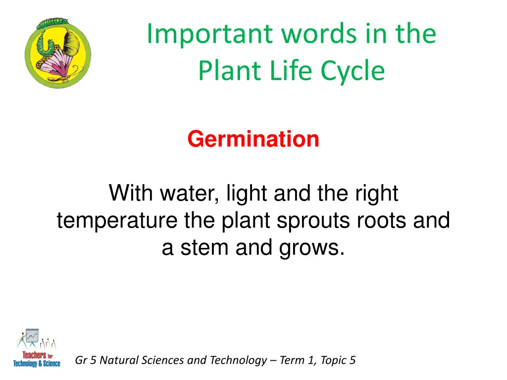 important words in the plant life cycle