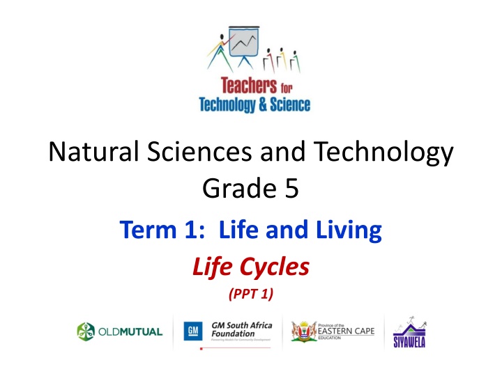 natural sciences and technology grade 5 term