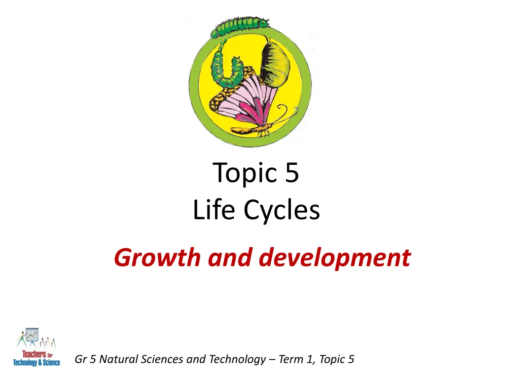 topic 5 life cycles