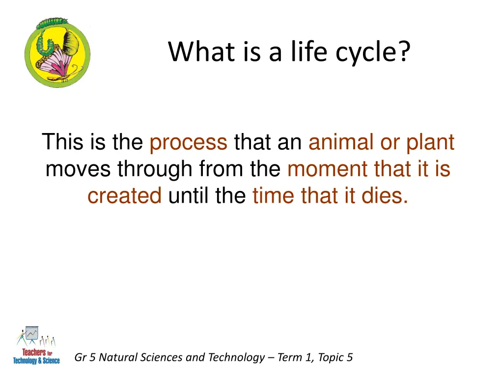 what is a life cycle