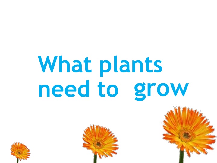 what plants need to grow