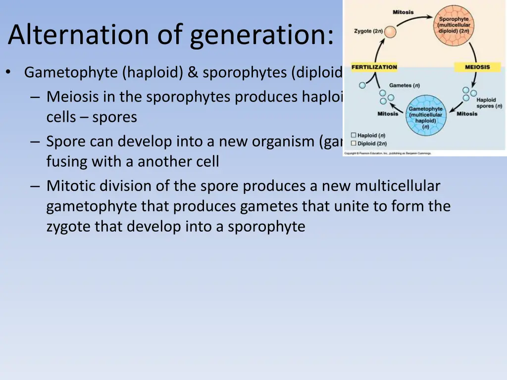 alternation of generation