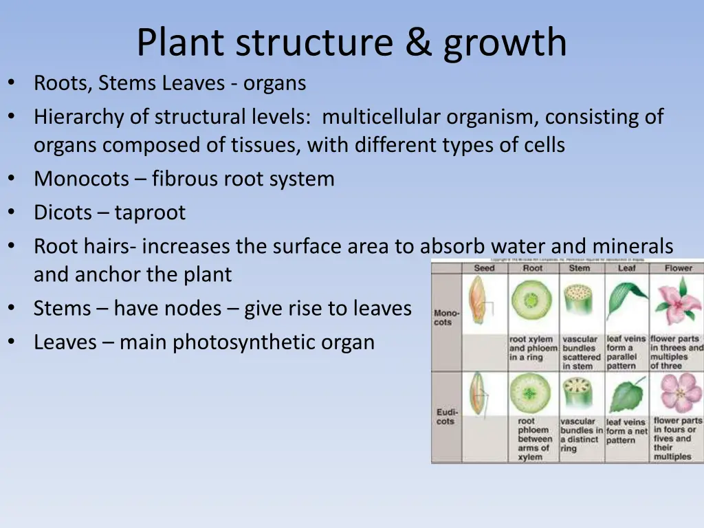 plant structure growth roots stems leaves organs