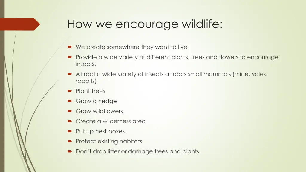 how we encourage wildlife