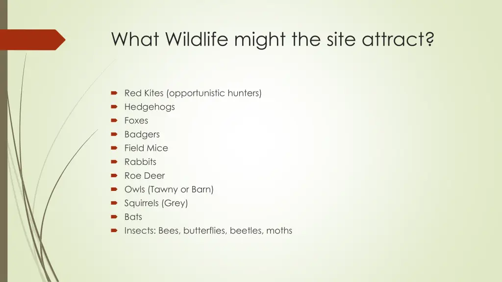 what wildlife might the site attract