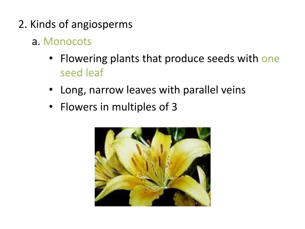 2 kinds of angiosperms a monocots flowering